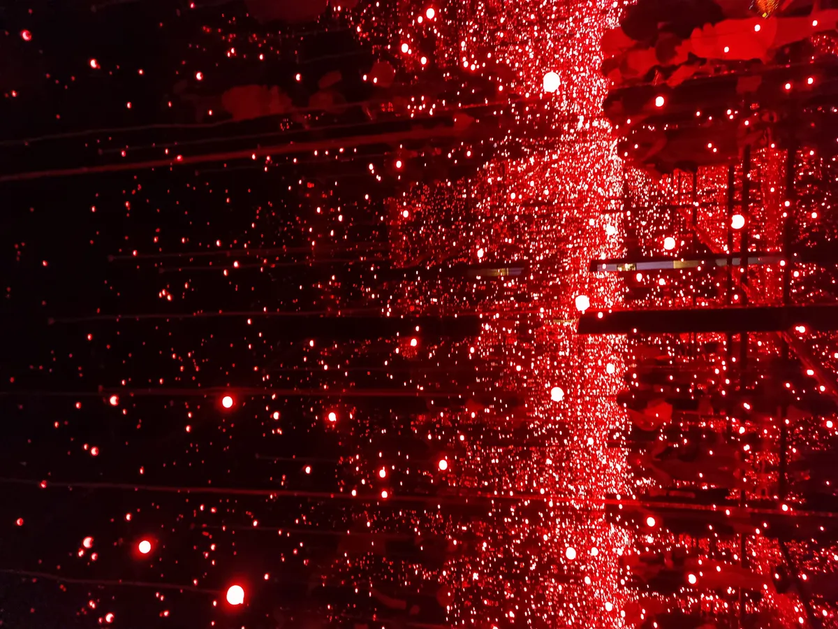 Yayoi Kusama Gallery Image 46